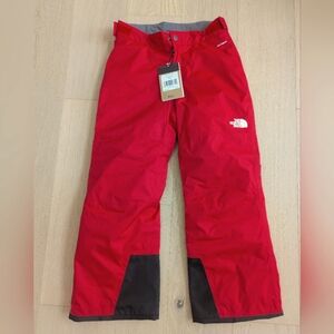 The North Face Boys' Freedom Insulated Pant